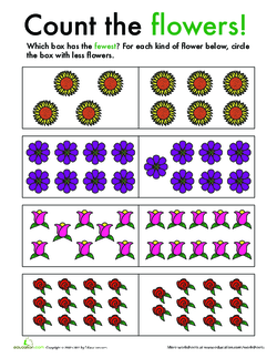 Count the Flowers